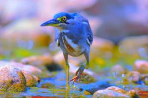 反波胆足球赚钱，利用比赛波动赚取利润的策略反波胆足球赚钱