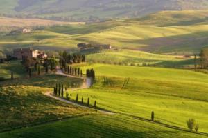 足球,冷门进球背后的智慧与魅力足球波胆走地